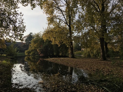 B&B de Waterweg | Omgeving